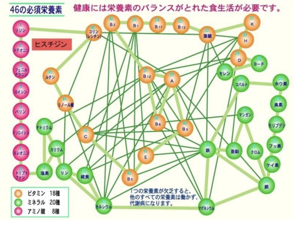 46の必須栄養素