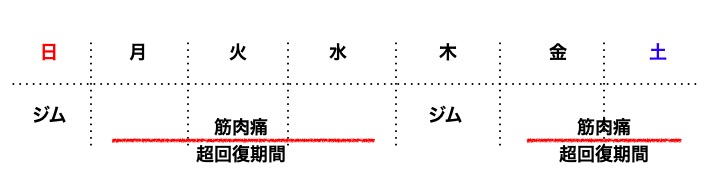 細マッチョ ジム 何回？