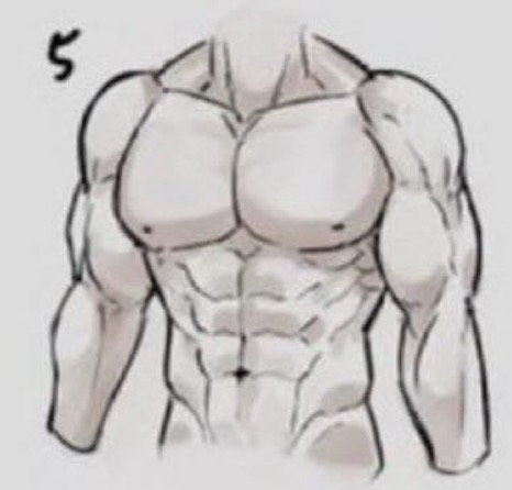 細マッチョ フィジーク